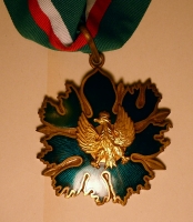 Złoty Medal Zasłużony Kulturze Gloria Artis - medal (27 października 2005)